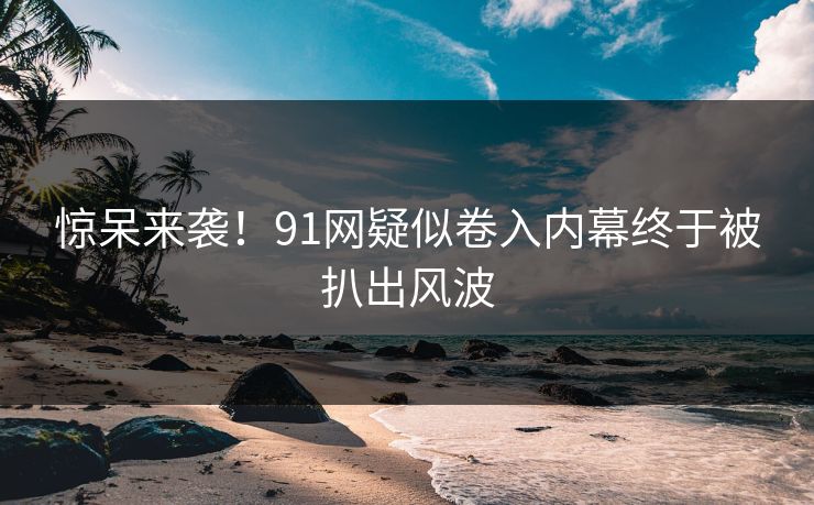 惊呆来袭！91网疑似卷入内幕终于被扒出风波