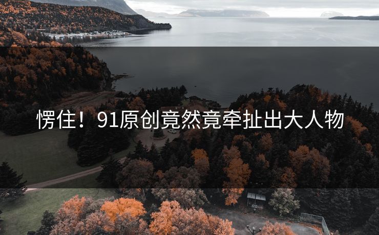 愣住！91原创竟然竟牵扯出大人物