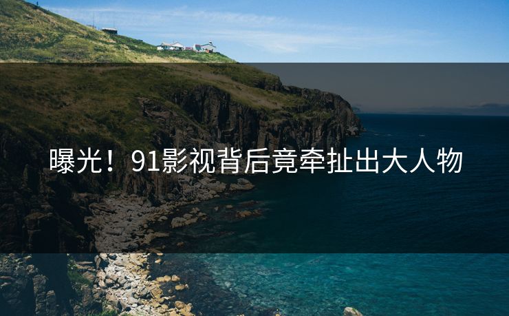曝光！91影视背后竟牵扯出大人物