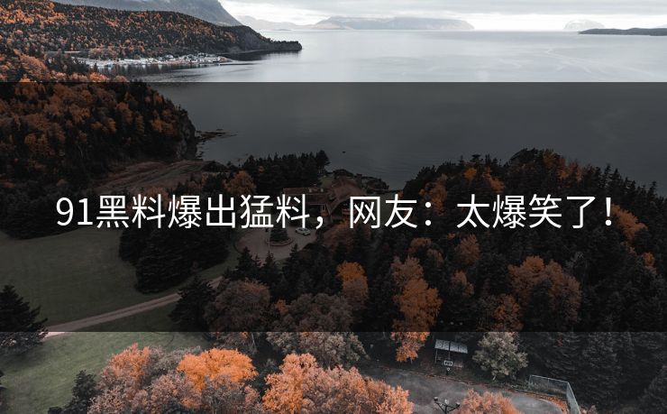 91黑料爆出猛料，网友：太爆笑了！