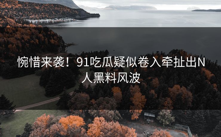 惋惜来袭！91吃瓜疑似卷入牵扯出N人黑料风波