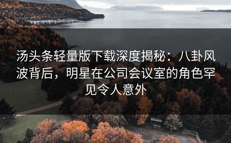 汤头条轻量版下载深度揭秘：八卦风波背后，明星在公司会议室的角色罕见令人意外