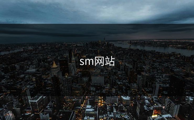 sm网站